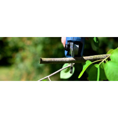 Nożyce akumulatorowe do gałęzi ASC 18-201-05 K