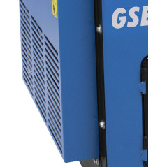 Elektrownia GSE 5501 DSG