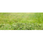 Kosiarka spalinowa ECO Wheeler 390 1,6 R Kosiarka spalinowa ECO Wheeler 390 1,6 R