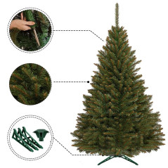 Choinka świerk kaukaski 150 cm