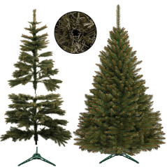 Choinka świerk kaukaski 150 cm