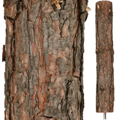 Choinka Sosna 180 cm