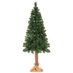 Choinka Sosna 180 cm