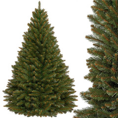 Choinka świerk kaukaski 180 cm