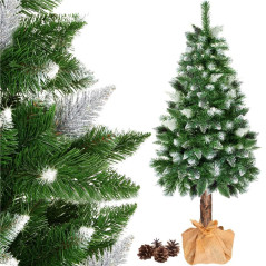 Choinka Sosna ze śniegiem na pniu 160 cm