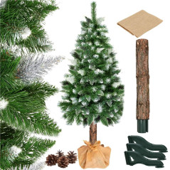 Choinka Sosna ze śniegiem na pniu 160 cm