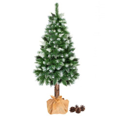 Choinka Sosna ze śniegiem na pniu 160 cm