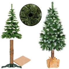 Choinka Sosna ze śniegiem na pniu 160 cm