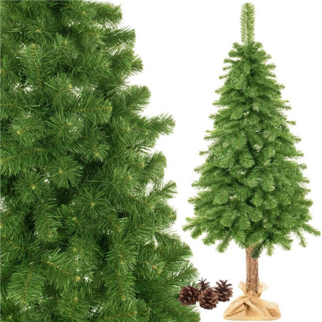 Choinka naturalna sosna na kołku 180 cm