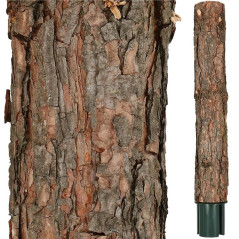 Choinka naturalna sosna na kołku 180 cm