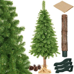 Choinka naturalna sosna na kołku 180 cm