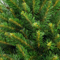 Choinka świerk skandynawski 220 cm Choinka świerk skandynawski 220 cm