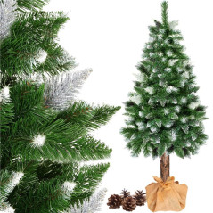 Choinka Sosna diament na zawieszce 180 cm