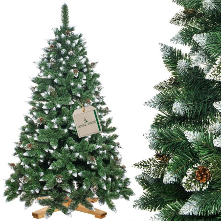 Choinka Pine Royal diamond 180 cm