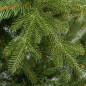 Choinka Świerk Premium naturalny 90 cm Choinka Świerk Premium naturalny 90 cm
