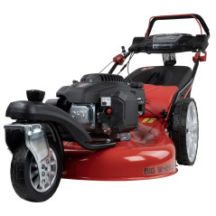 Kosiarka spalinowa Big Wheeler 554.2 R Trike