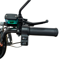 RURIS PILOT 3020A e-trojkolka biela