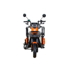 RURIS PILOT 3020A e-trojkolka biela