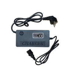 RURIS PILOT 3020G e-trojkolka šedá