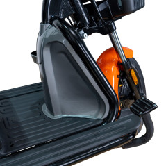 E-trójkołowiec PILOT 3020G, szary