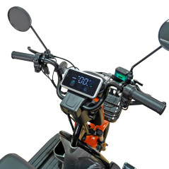 RURIS PILOT 3020G e-trojkolka šedá