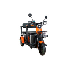 RURIS PILOT 3020G e-trojkolka šedá