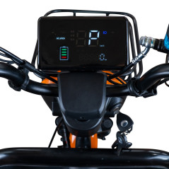 RURIS PILOT 3040G e-trojkolka šedá