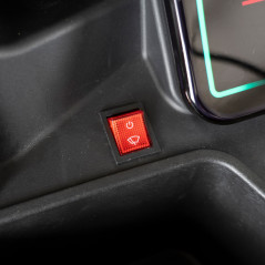 E-trójkołowiec PILOT 3070N, czarny