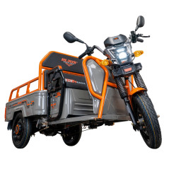 RURIS PILOT 3110G e-trojkolka nákladná šedá