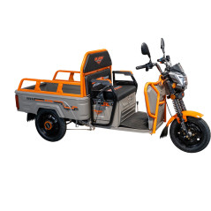 RURIS PILOT 3110G e-trojkolka nákladná šedá