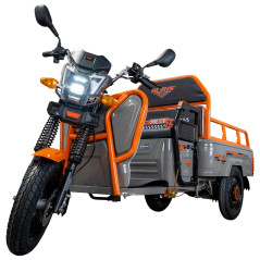 RURIS PILOT 3110G e-trojkolka nákladná šedá