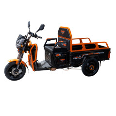 E-trójkołowiec towarowy PILOT 3110N, czarny