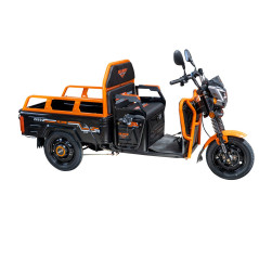 E-trójkołowiec towarowy PILOT 3110N, czarny