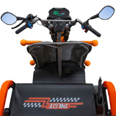 RURIS PILOT 3120G e-trojkolka nákladná šedá