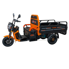 E-trójkołowiec towarowy PILOT 3120N, czarny