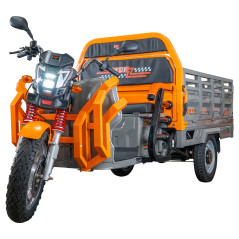 RURIS PILOT 3130G e-trojkolka nákladná šedá