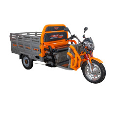 RURIS PILOT 3130G e-trojkolka nákladná šedá