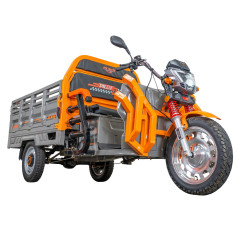 RURIS PILOT 3130G e-trojkolka nákladná šedá