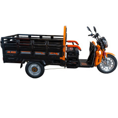 E-trójkołowiec towarowy PILOT 3130N, czarny