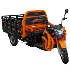 E-trójkołowiec towarowy PILOT 3130N, czarny