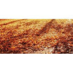 Zamiatarka akumulatorowa GKM 18-401-30