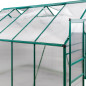 DEMA Szklarnia ogrodowa Den Haag, 308x252x227 cm, 4 mm