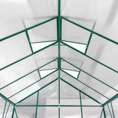 DEMA Szklarnia ogrodowa Den Haag, 308x252x227 cm, 4 mm