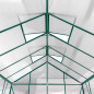 DEMA Szklarnia ogrodowa Den Haag, 308x252x227 cm, 4 mm