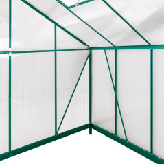 DEMA Szklarnia ogrodowa Den Haag, 308x252x227 cm, 4 mm