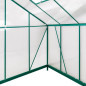 DEMA Szklarnia ogrodowa Den Haag, 308x252x227 cm, 4 mm