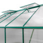 DEMA Szklarnia ogrodowa Den Haag, 308x252x227 cm, 4 mm